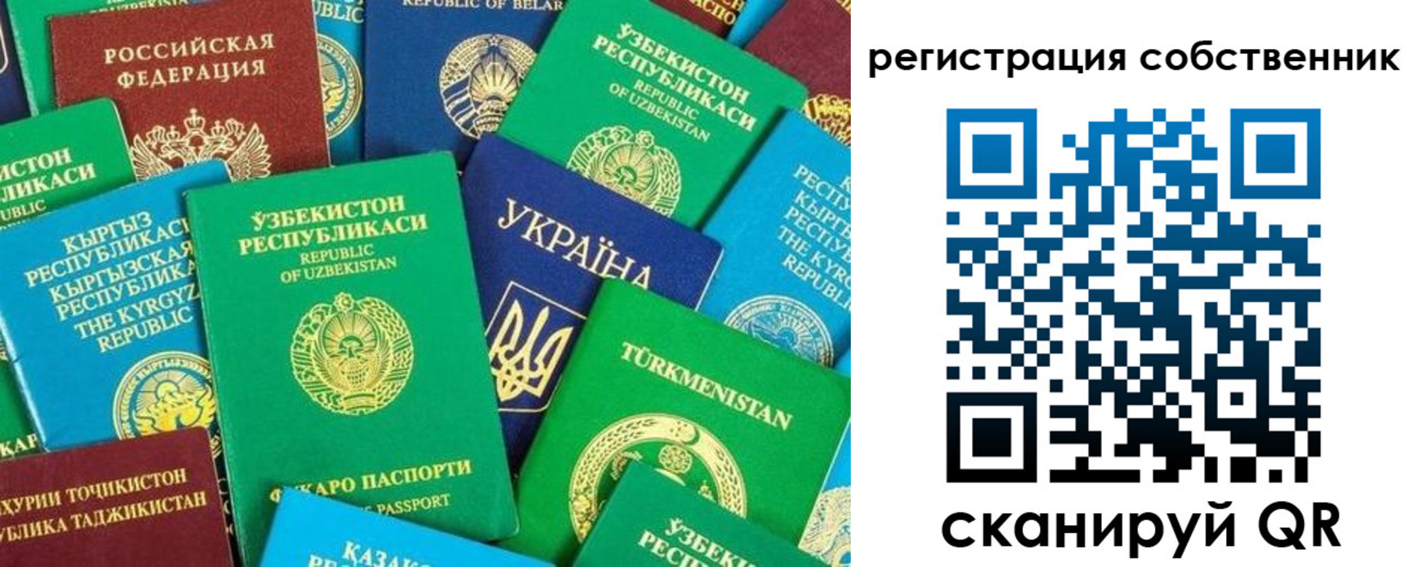 прописка в Жукове